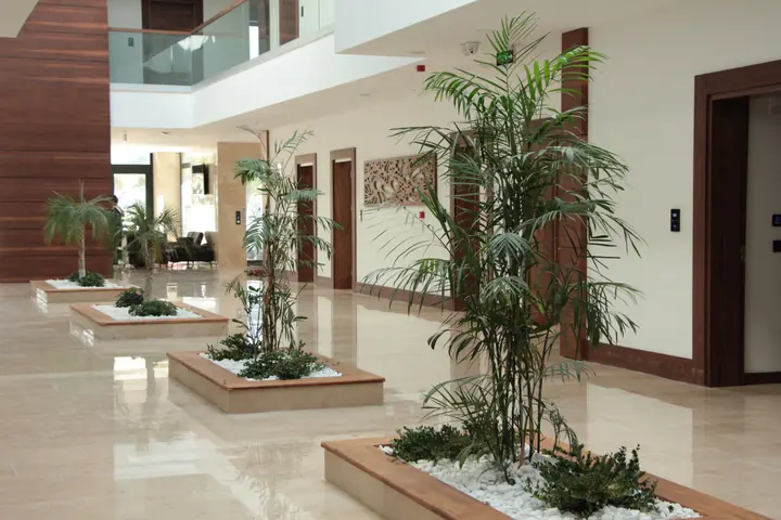 Carissa Otel galeri foto 3